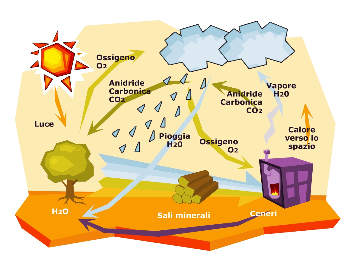 Risultati immagini per Produzione energetica da biomassa. Vantaggi e svantaggi vedi